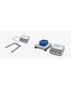 Counting scales